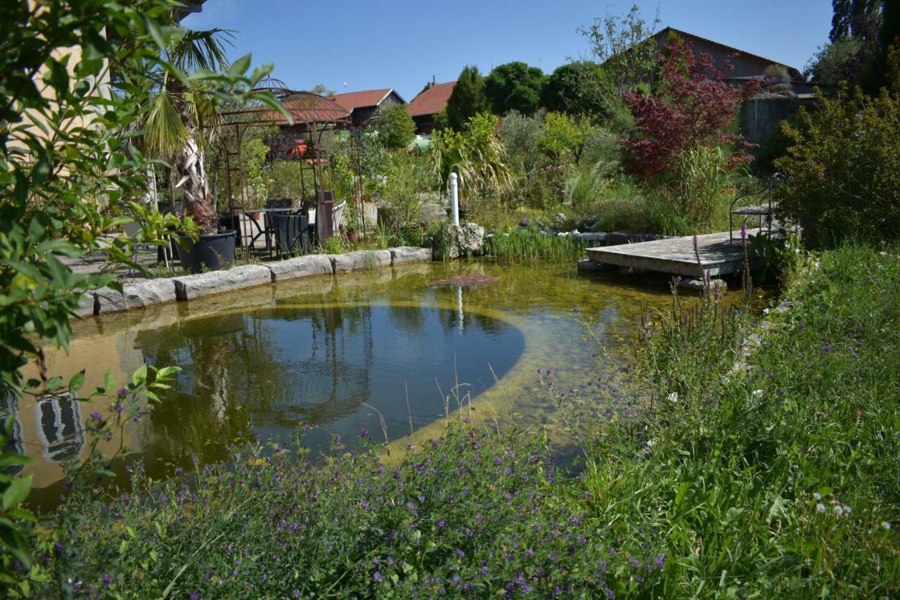 Palmengarten Finning Buitenkant foto